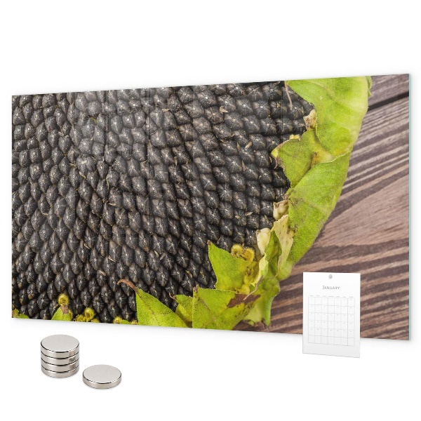 Tablă magnetică perete Floarea-soarelui