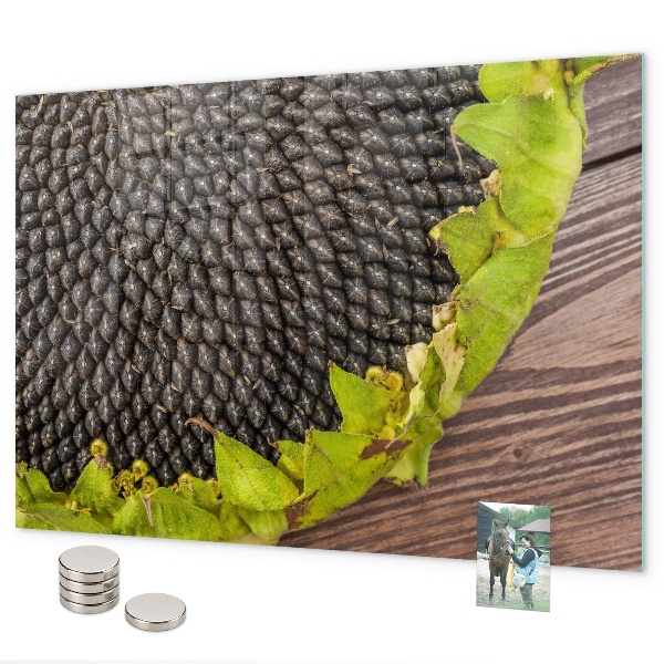 Tablă magnetică perete Floarea-soarelui