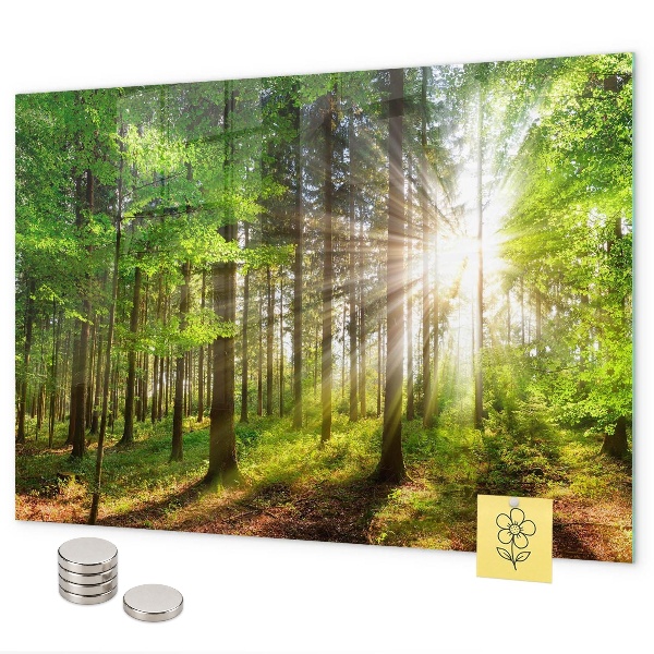 Tablă magnetică Răsărit de soare în pădure