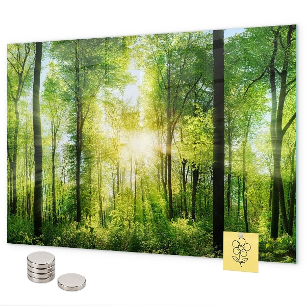 Tablă magnetică perete Copacii pădurii naturii