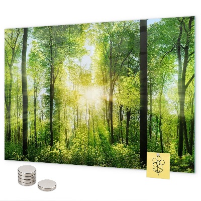 Tablă magnetică perete Copacii pădurii naturii