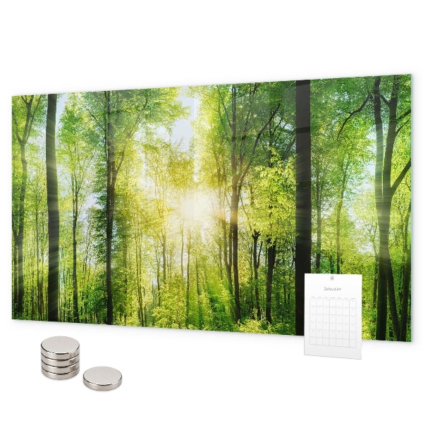 Tablă magnetică perete Copacii pădurii naturii