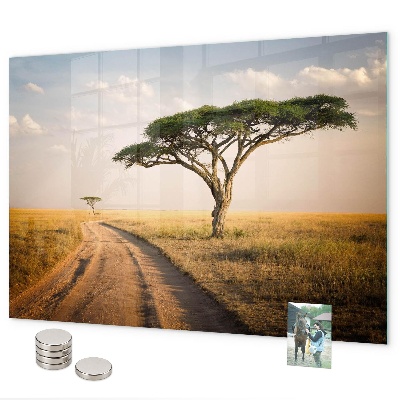 Tablă magnetică perete Peisaj african