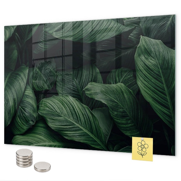 Tablă magnetică perete Monstera tropicală