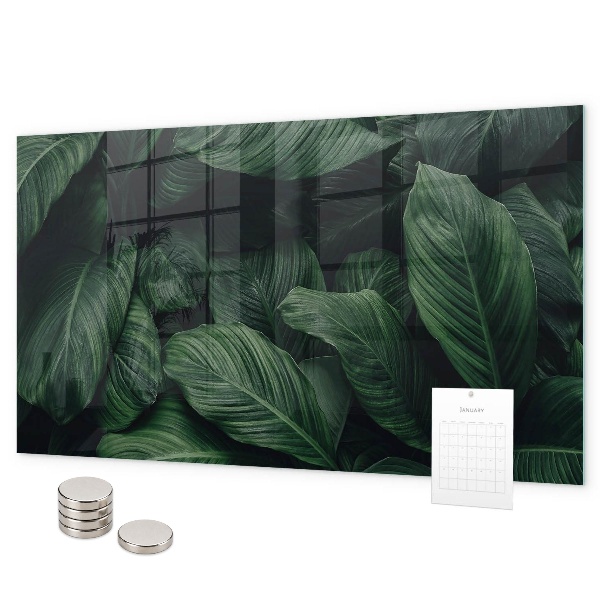 Tablă magnetică perete Monstera tropicală