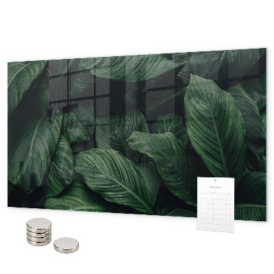 Tablă magnetică perete Monstera tropicală