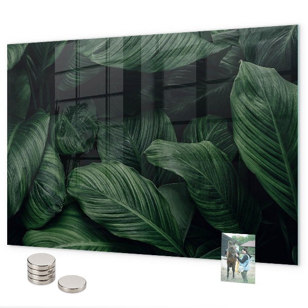 Tablă magnetică perete Monstera tropicală