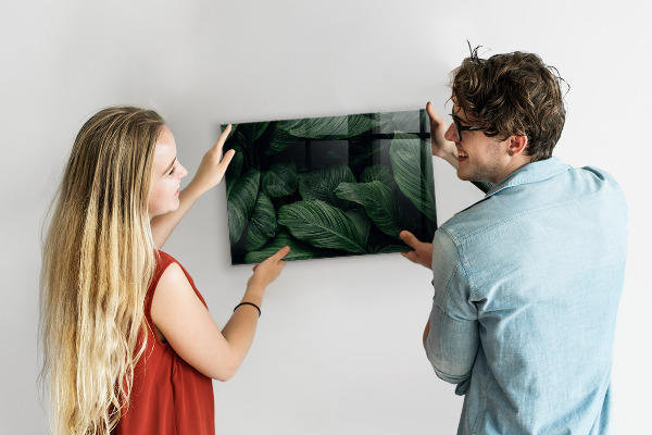 Tablă magnetică perete Monstera tropicală