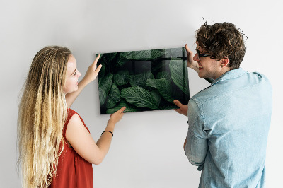 Tablă magnetică perete Monstera tropicală