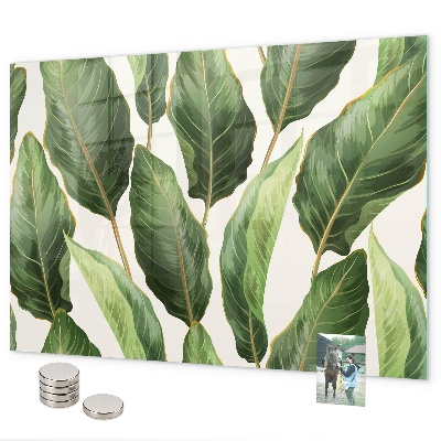 Tablă magnetică perete frunze de palmier