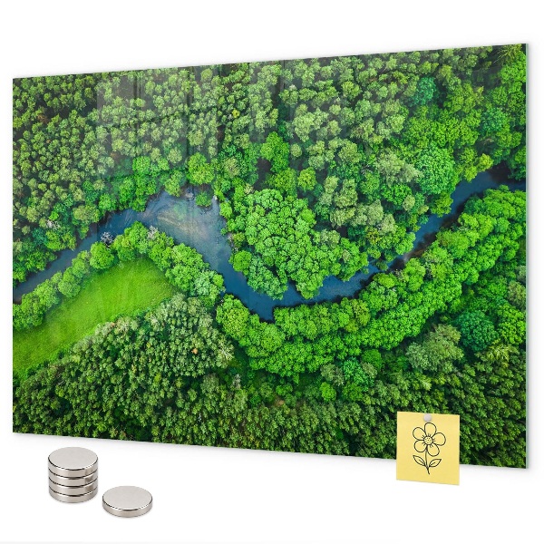 Tablă magnetică perete Râul în pădure