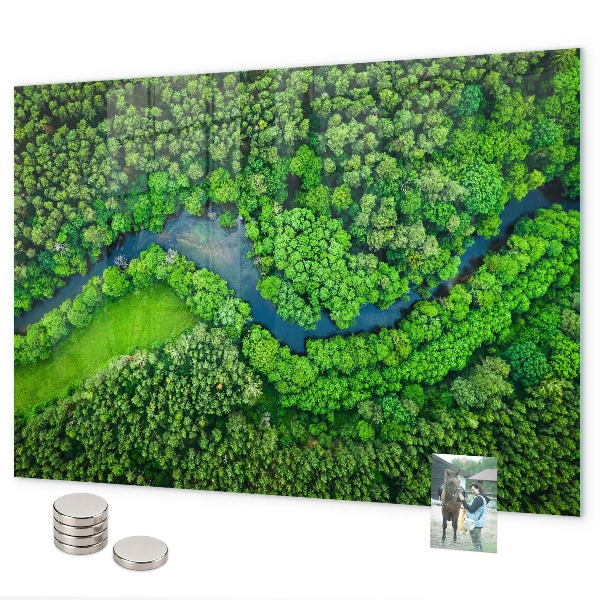Tablă magnetică perete Râul în pădure