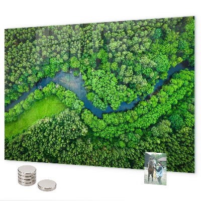 Tablă magnetică perete Râul în pădure