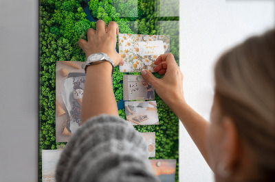 Tablă magnetică pentru magneti Râul copacilor din pădure