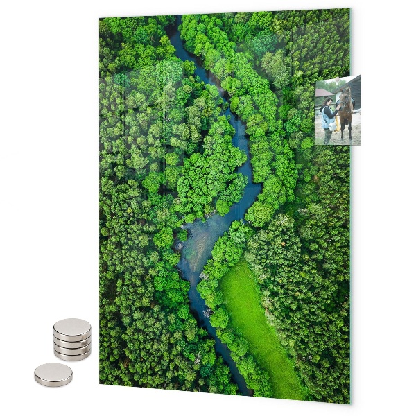 Tablă magnetică sticla Frunze tropicale