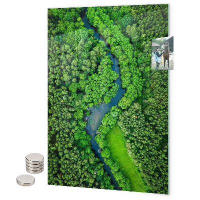 Tablă magnetică sticla Frunze tropicale