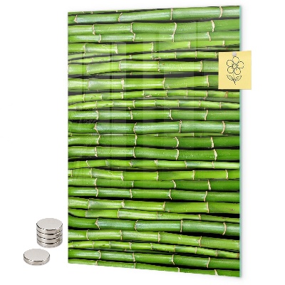 Tablă magnetică pentru magneti Bambus verde