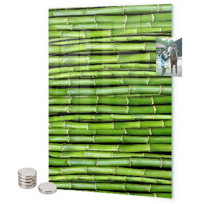 Tablă magnetică pentru magneti Bambus verde