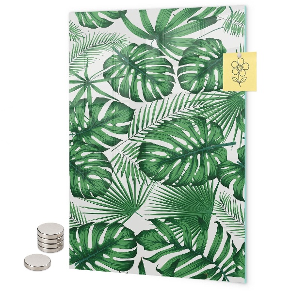 Tablă magnetică sticla Frunze tropicale de monstera