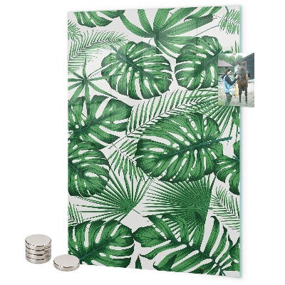 Tablă magnetică sticla Frunze tropicale de monstera
