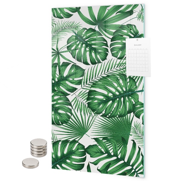 Tablă magnetică sticla Frunze tropicale de monstera