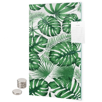 Tablă magnetică sticla Frunze tropicale de monstera