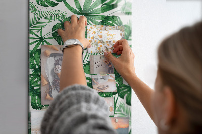 Tablă magnetică sticla Frunze tropicale de monstera