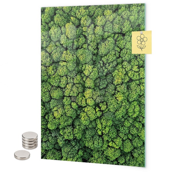Tablă magnetică pentru magneti copaci natură pădure