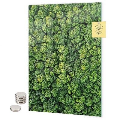 Tablă magnetică pentru magneti copaci natură pădure