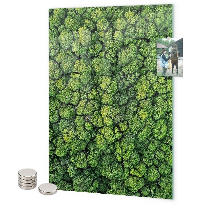 Tablă magnetică pentru magneti copaci natură pădure