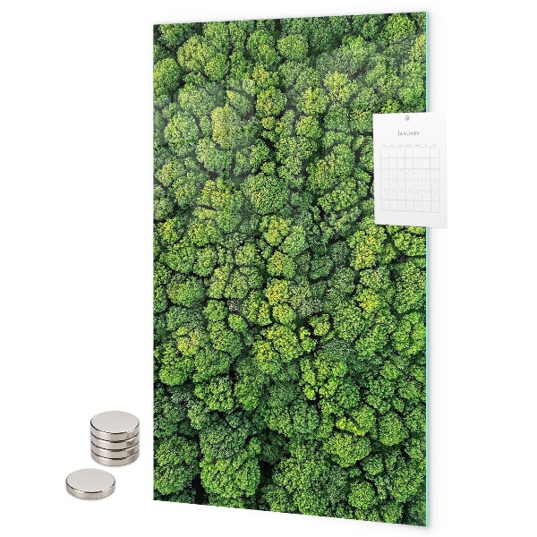 Tablă magnetică pentru magneti copaci natură pădure