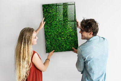 Tablă magnetică de scris Panou foto verde