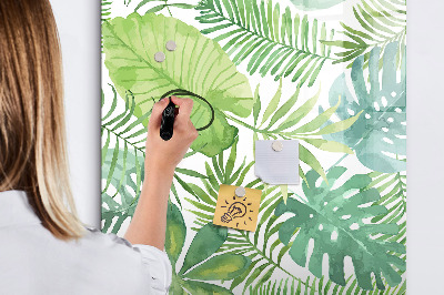 Tablă magnetică de scris Tablă verde cu spațiu pentru fotografii