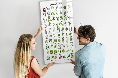Tablă cu marker Legume verzi și ierburi în grafică