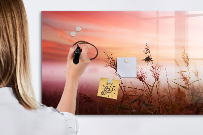 Tablă cu marker Un spațiu creativ pentru prezentarea fotografiilor