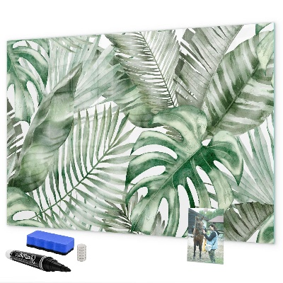 Tablă magnetică de scris Poster verde cu fotografii și accesorii