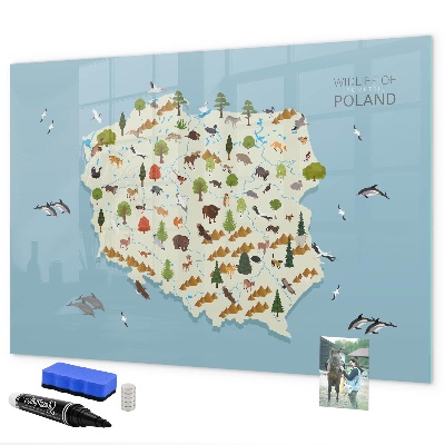 Tablă cu marker Hartă naturală a Poloniei cu locuri pentru fotografii