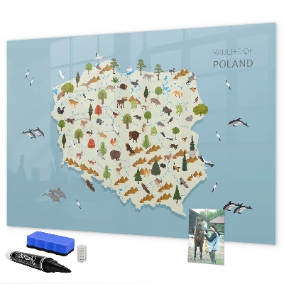 Tablă cu marker Hartă naturală a Poloniei cu locuri pentru fotografii