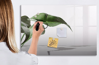 Tablă magnetică de scris Plante și amintiri pe perete