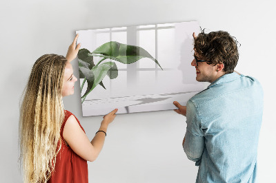 Tablă magnetică de scris Plante și amintiri pe perete