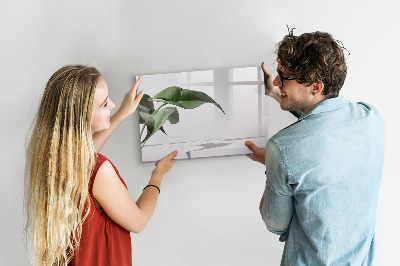 Tablă magnetică de scris Plante și amintiri pe perete
