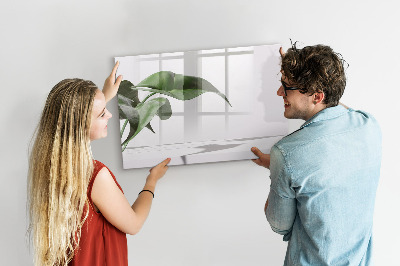 Tablă magnetică de scris Plante și amintiri pe perete