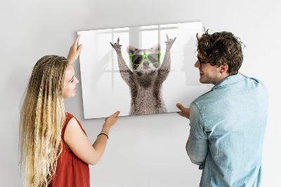 Tablă magnetică de scris Raton fericit cu imagini