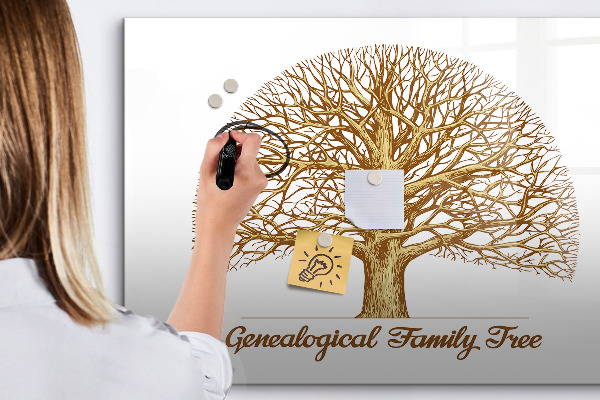 Tablă cu marker Arbore genealogic cu spațiu pentru fotografii