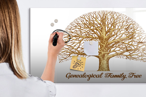 Tablă cu marker Arbore genealogic cu spațiu pentru fotografii