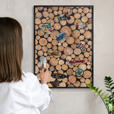 Panou magnetic mural decorativ cadru negru Cercuri de lemn