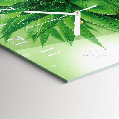 Ceas pătrat de perete din sticlă Aloe