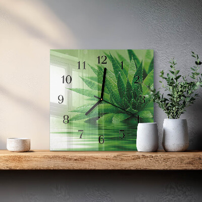 Ceas din sticlă pătrat Aloe