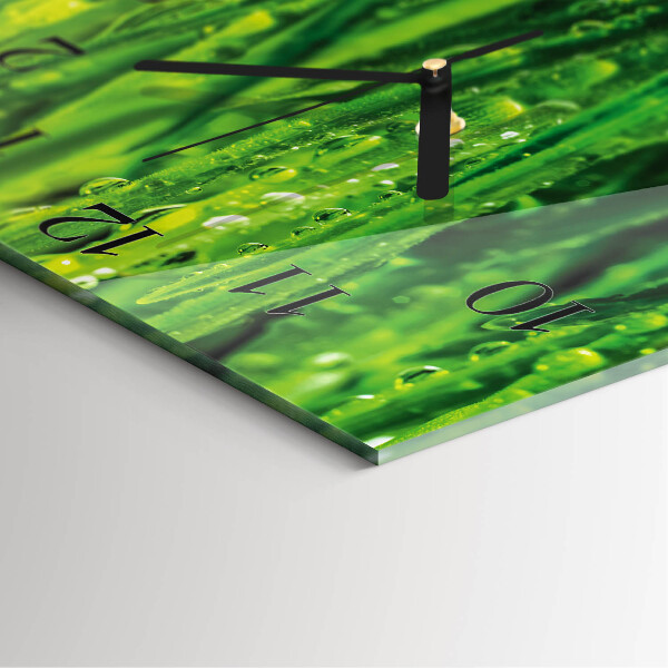 Ceas din sticlă pătrat Iarbă