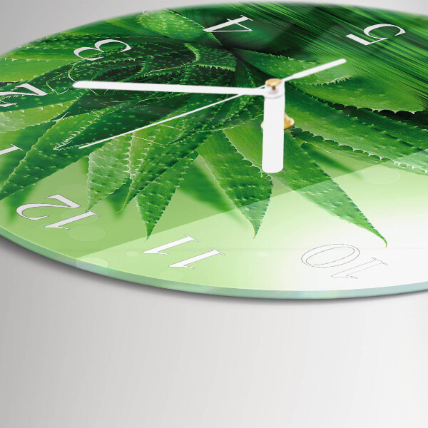 Ceas rotund de perete din sticlă Aloe
